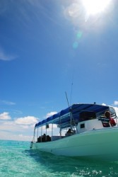 パラオツアー　ボートまでホテルからアクセスも簡単♪