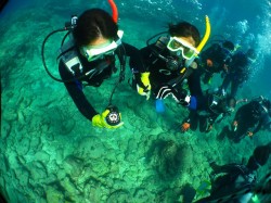 透明度も良いですね