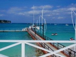 リゾート感あふれる景色