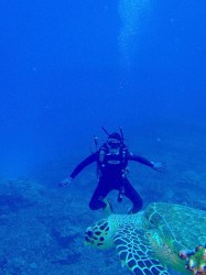 おわっっ! おわっっ!