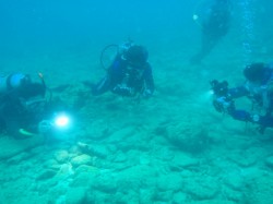 みんなでハナヒゲ撮影！