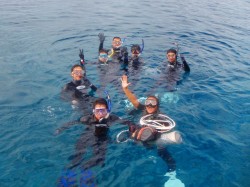 水面で水馴れ 水面で水馴れ
