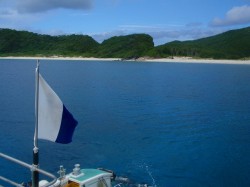 グッドコンディション