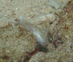 大迷惑の決定的瞬間！！