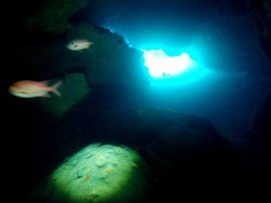 神山ラビリンス