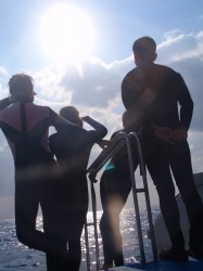 おお！やらせ感バリバリですねぇ