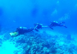 こんな芸当も出来ます♪　水中スクーター