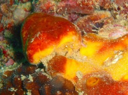 どうしても探してしまいます(笑) どうしても探してしまいます(笑)