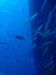 今日はワイドにも楽しませてくれました!! 今日はワイドにも楽しませてくれました!!