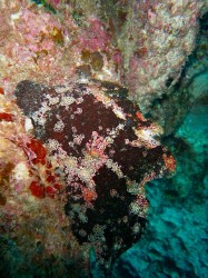 ふと見るともう１匹いました♪２匹でいましたよ。