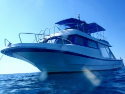 水面から見上げるスウィフト号！