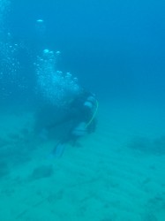 こちらは移動スキルです こちらは移動スキルです