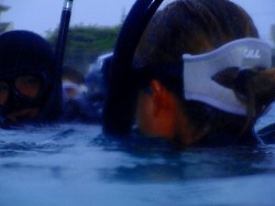 水面スキルの一場面