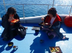 お日様とお昼ご飯、サイコー！