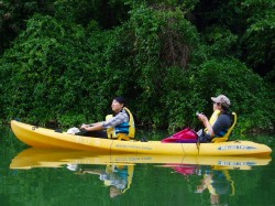 鏡のような水面（比謝川　マングローブ　カヤック）