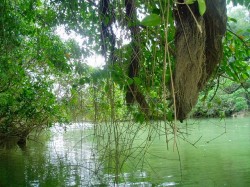 こんな景色あります