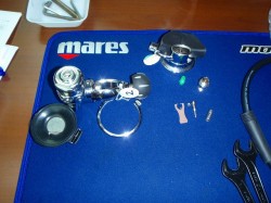 分解したレギュ 分解したレギュ