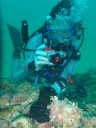 激写中！ウミウサギ