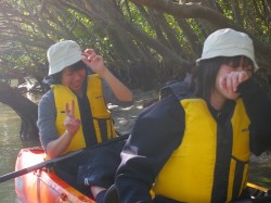 マングローブカヤック マングローブカヤック