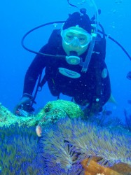 １４歳ダイバー！立派です