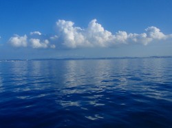 晴天で穏やか！まさにグッドコンディション！