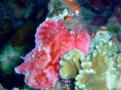 初めまして・・・今年は宜しくお願い致します!! 初めまして・・・今年は宜しくお願い致します!!