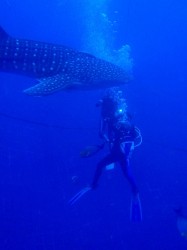 このサイズは興奮しますよね~ このサイズは興奮しますよね~