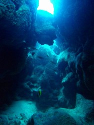 沖縄ボートダイビング 奥武島にて 沖縄ボートダイビング 奥武島にて