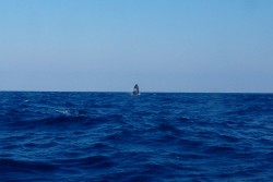 岩ではないです