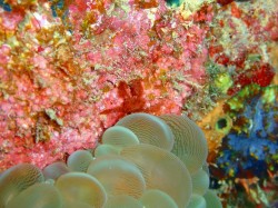 100126go-6 100126go-6