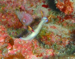 伸びてます 伸びてます