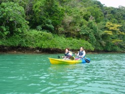 マングローブをバックに