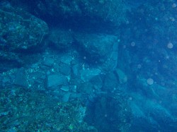 まるで海の底が川底みたい(沖縄 慶良間諸島) まるで海の底が川底みたい(沖縄 慶良間諸島)