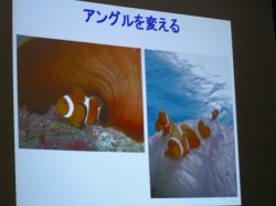 こういった、写真を見ながらのセミナーも行います。