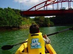 元気な息子さん・後ろ姿だけですが･･･（沖縄　マングローブカヤック）