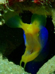 今日はこの表情でアップしてみます。 今日はこの表情でアップしてみます。