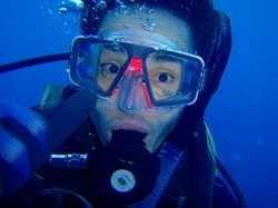 水中でも余裕の表情 (沖縄本島 イナンビシ) 水中でも余裕の表情 (沖縄本島 イナンビシ)