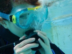 フリーフローレギ