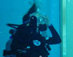 マスククリアー