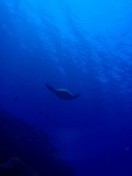 慶良間にて 慶良間にて