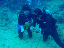 コンパスナビゲーション