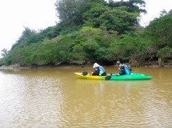 カワセミ観察中　比謝川
