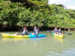 沖縄　マングローブ　カヤック