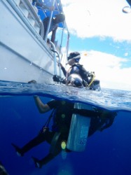 パラオツアー パートⅡ パラオツアー パートⅡ