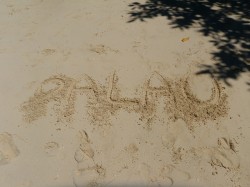 ありがとうございました!! ありがとうございました!!