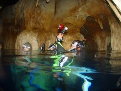 水中鍾乳洞!!パラオにもありました!! 水中鍾乳洞!!パラオにもありました!!