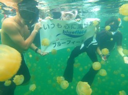 ここでもブルーフィールドシート大活躍です!! ここでもブルーフィールドシート大活躍です!!