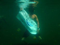 ブルーフィールドパラオツアー!! ブルーフィールドパラオツアー!!