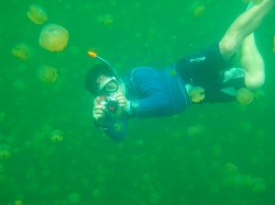 昼間は、人魚ですね・・・(笑) 昼間は、人魚ですね・・・(笑)