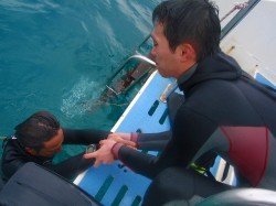 引き上げ 引き上げ